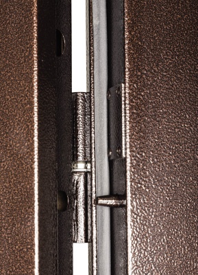 Купить Входная металлическая дверь ПРОФИ PRO BMD 2101х955/1055х54 в Сочи. В наличии и под заказ в каталоге